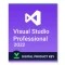 Visual Studio 2022 Professional