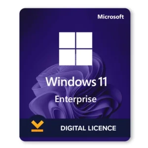 Windows 11 Enterprise key